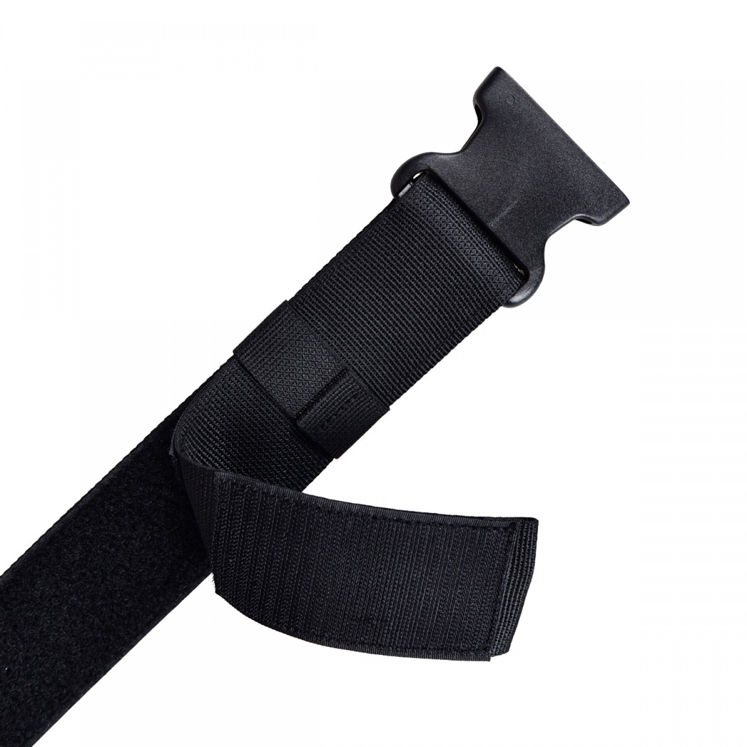 Лилия Black Belt Блэк Белт